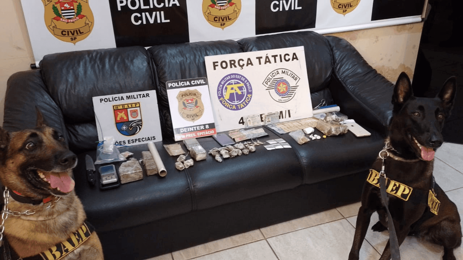 As prisões foram na cidade de Presidente Epitácio
