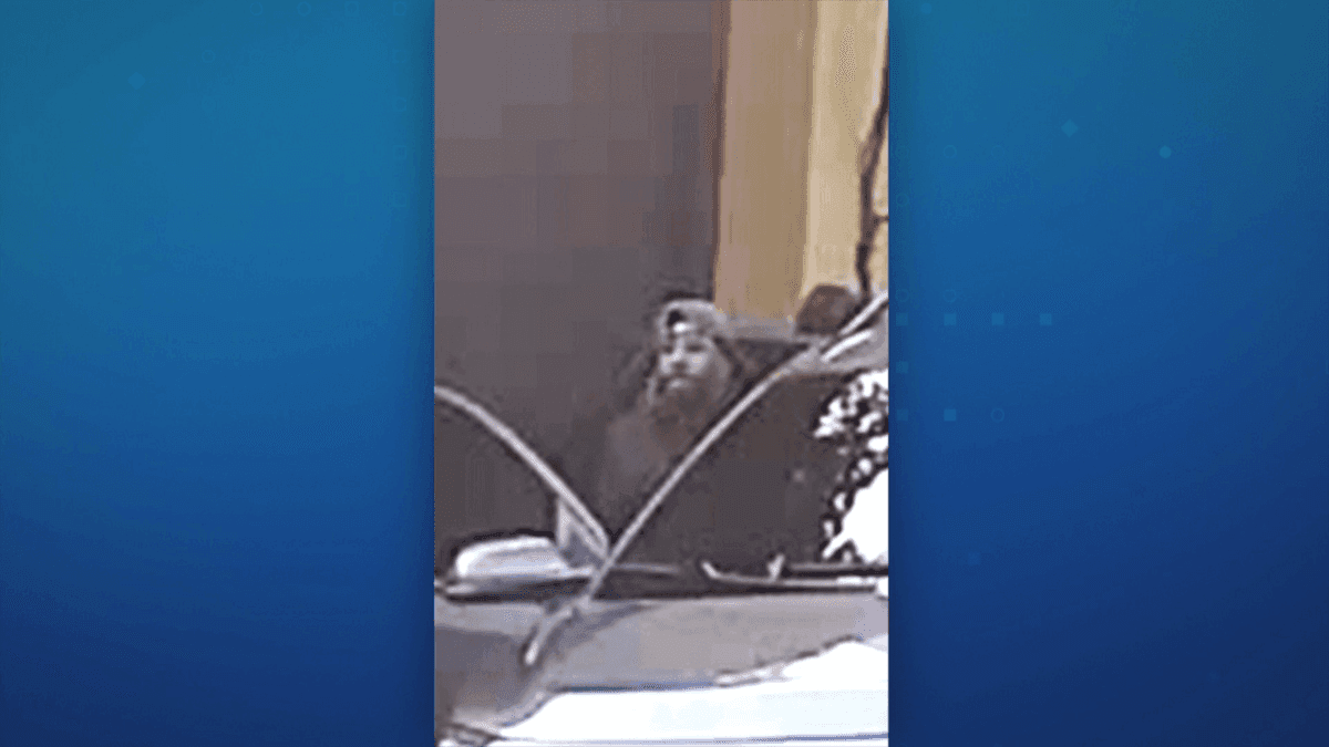 'Minotauro': líder de quadrilha que roubou pelo menos 30 mansões em dois anos segue foragido