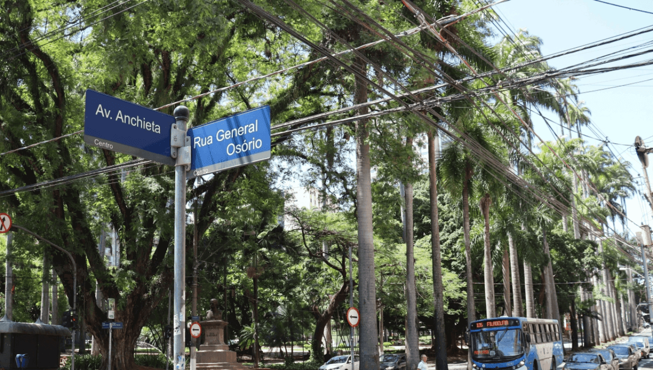 Poda de árvore de grande porte interdita ruas no entorno da praça Carlos Gomes neste sábado