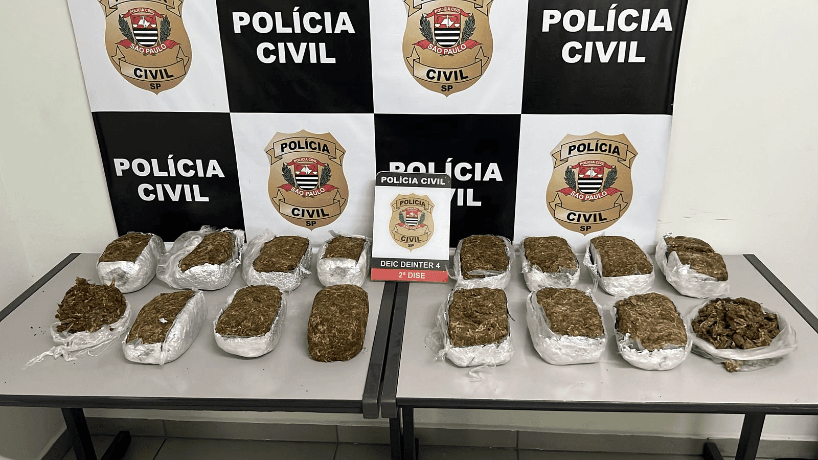 O homem receberia R$ 300 para esconder a droga