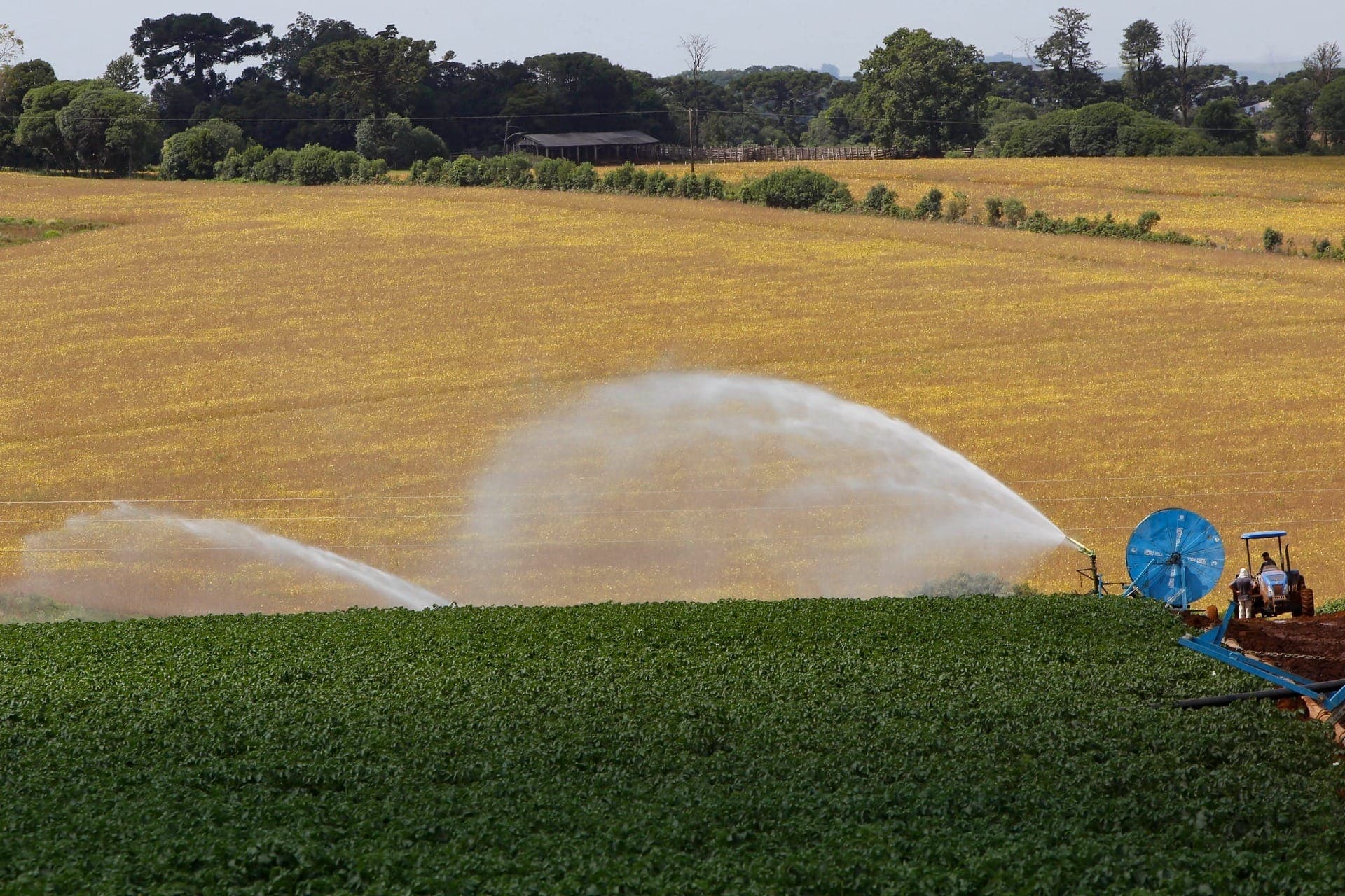 Governo registrou 699 produtos defensivos em 2025