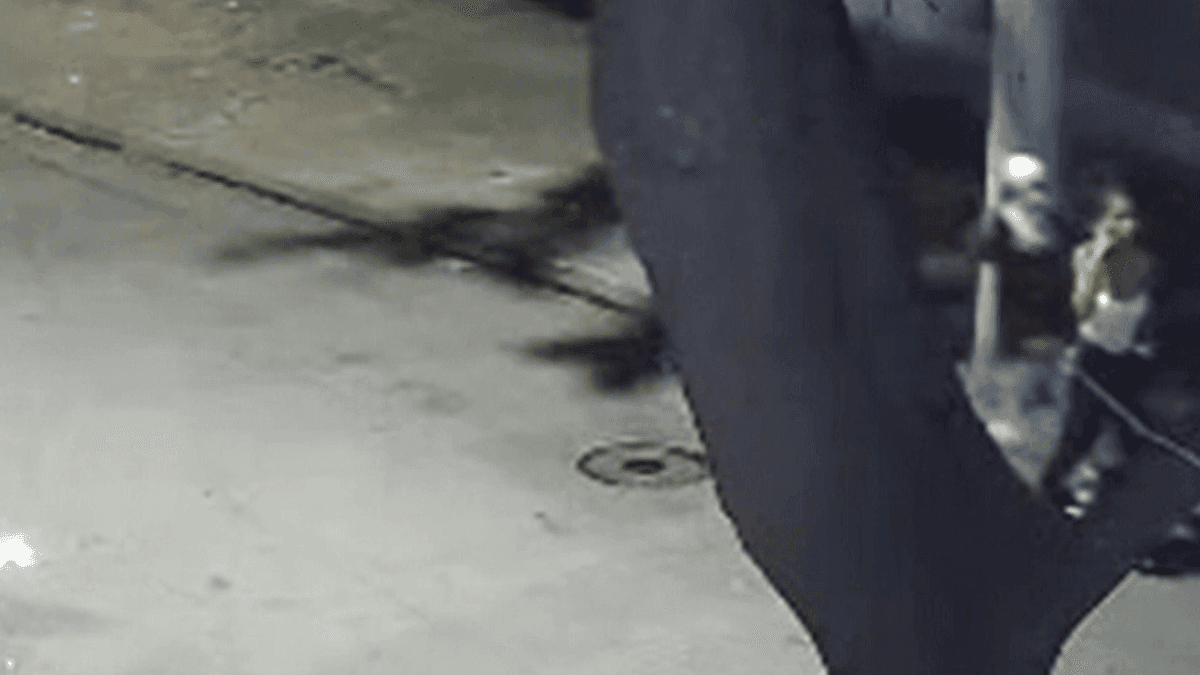 Jovem é morta a facadas pelo ex-namorado no Rio de Janeiro