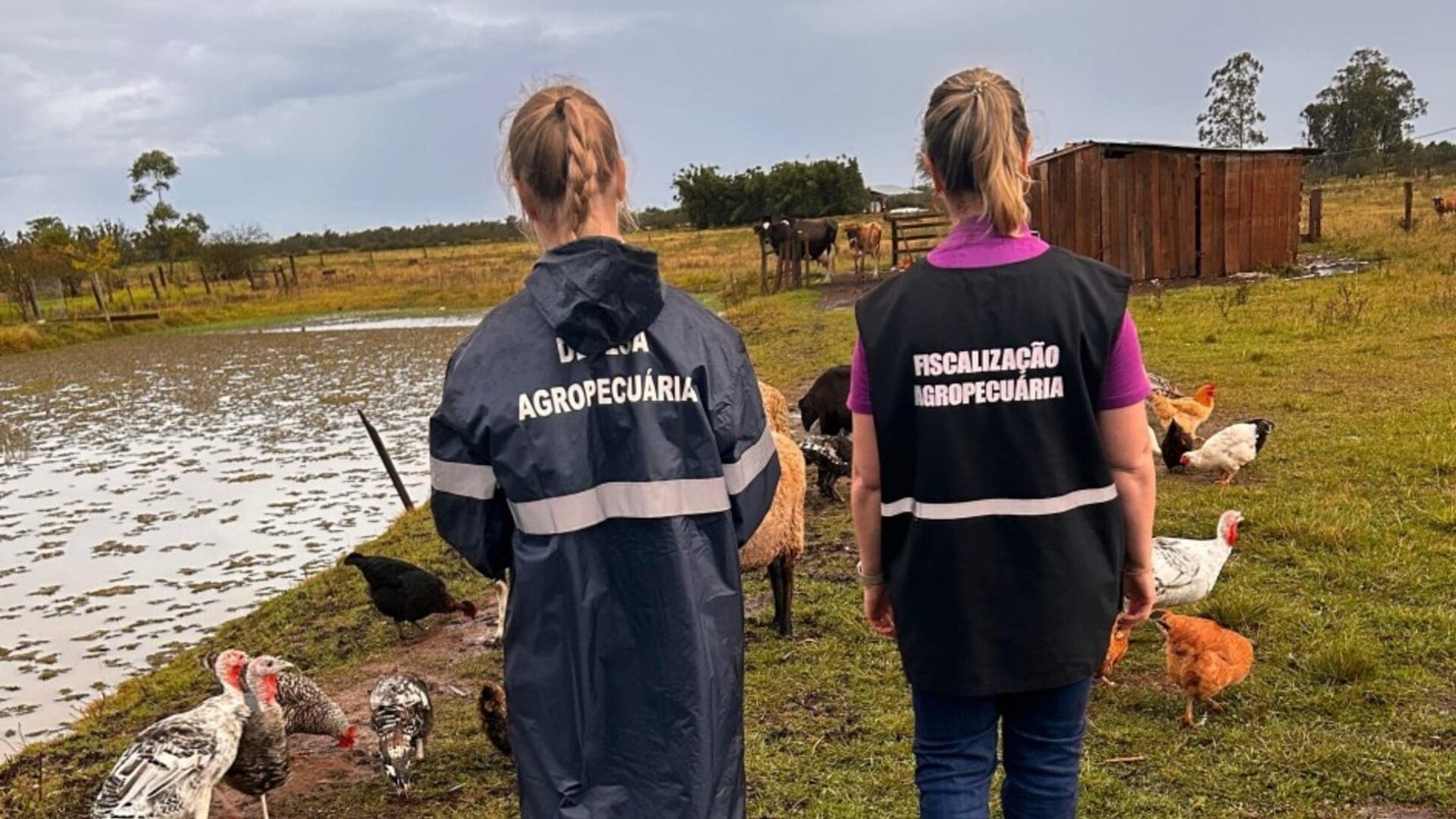 Fiscalização agropecuária na região de Montenegro