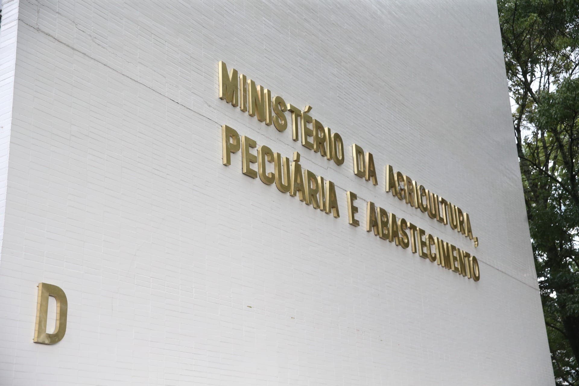 Ministério da Agricultura tem atualizado suspeitas de gripe aviária