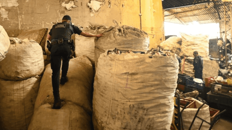 Foram apreendidas meia tonelada de fios e cabos de cobre em estabelecimentos na RMC