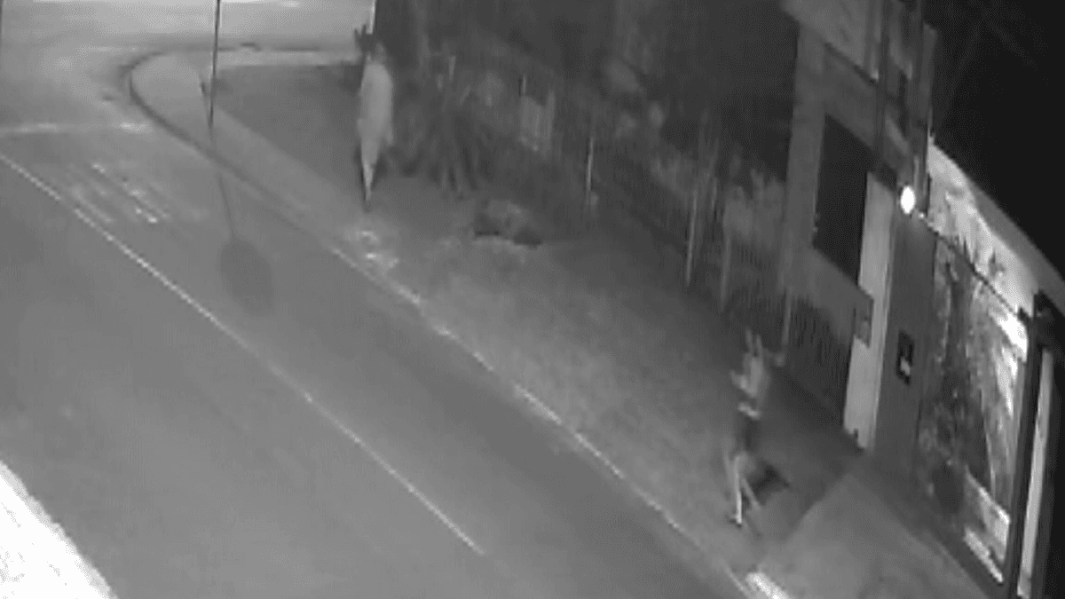 Morto por engano: mulher ataca idoso com bloco de concreto em Cascavel (PR)