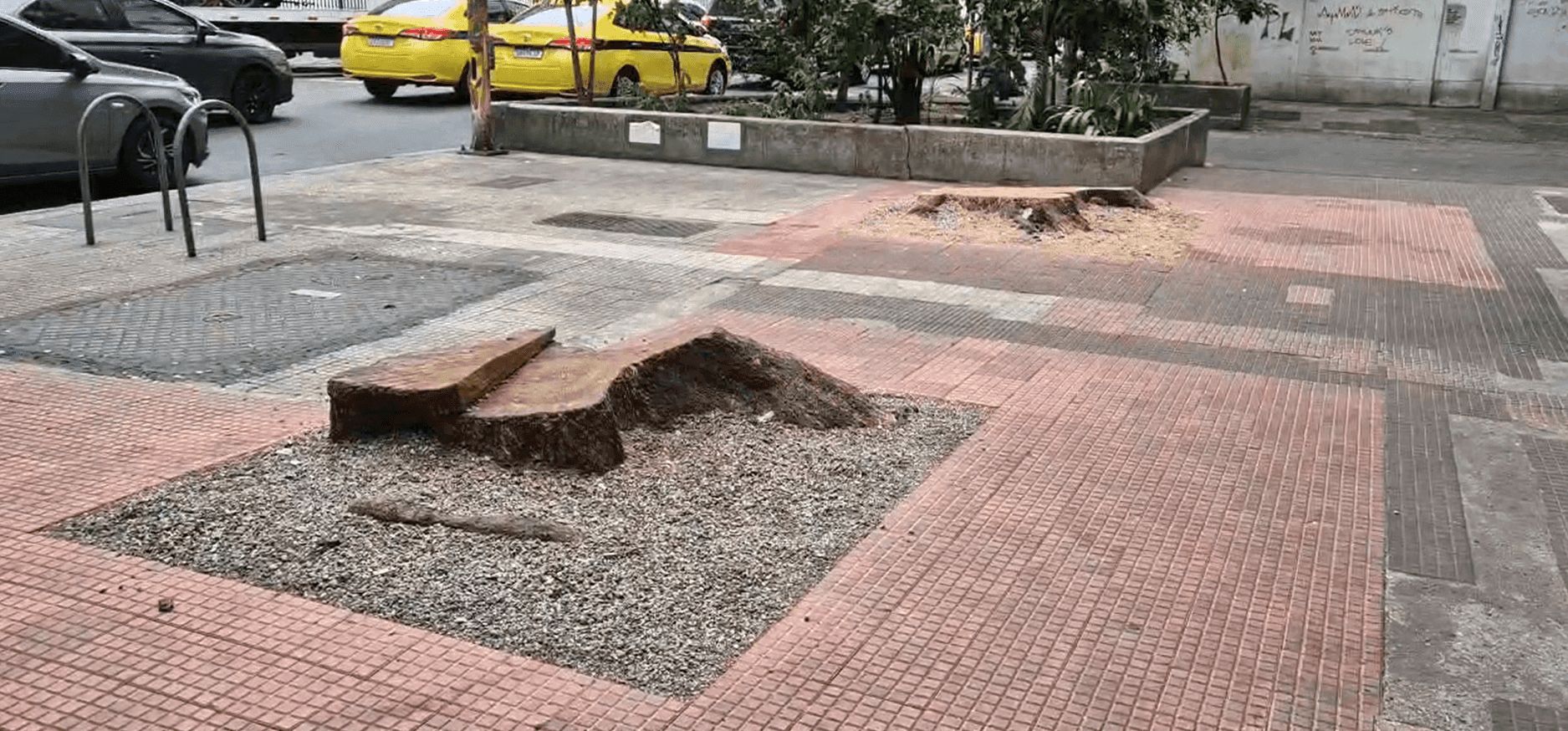 No último mês, uma das árvores foi retirada.