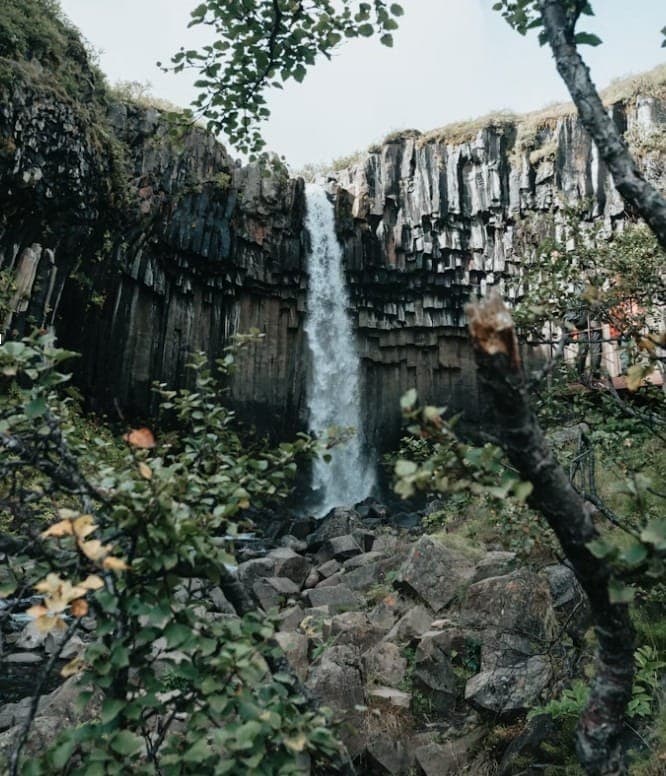Ecoturismo no Brasil cresce 30% ao ano e supera crescimento mundial em quase 4 vezes