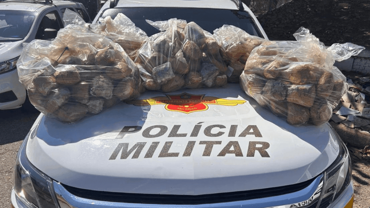 Foram localizadas três malas dispensadas durante a fuga, contendo 251 pacotes de skunk