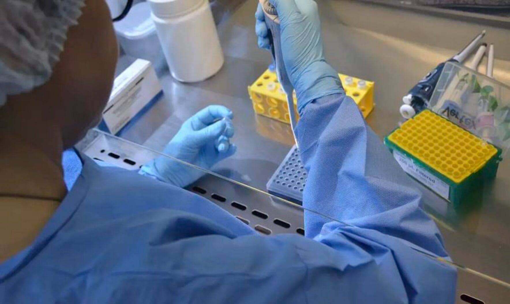 Brasil inicia testes com vacina para gripe aviária