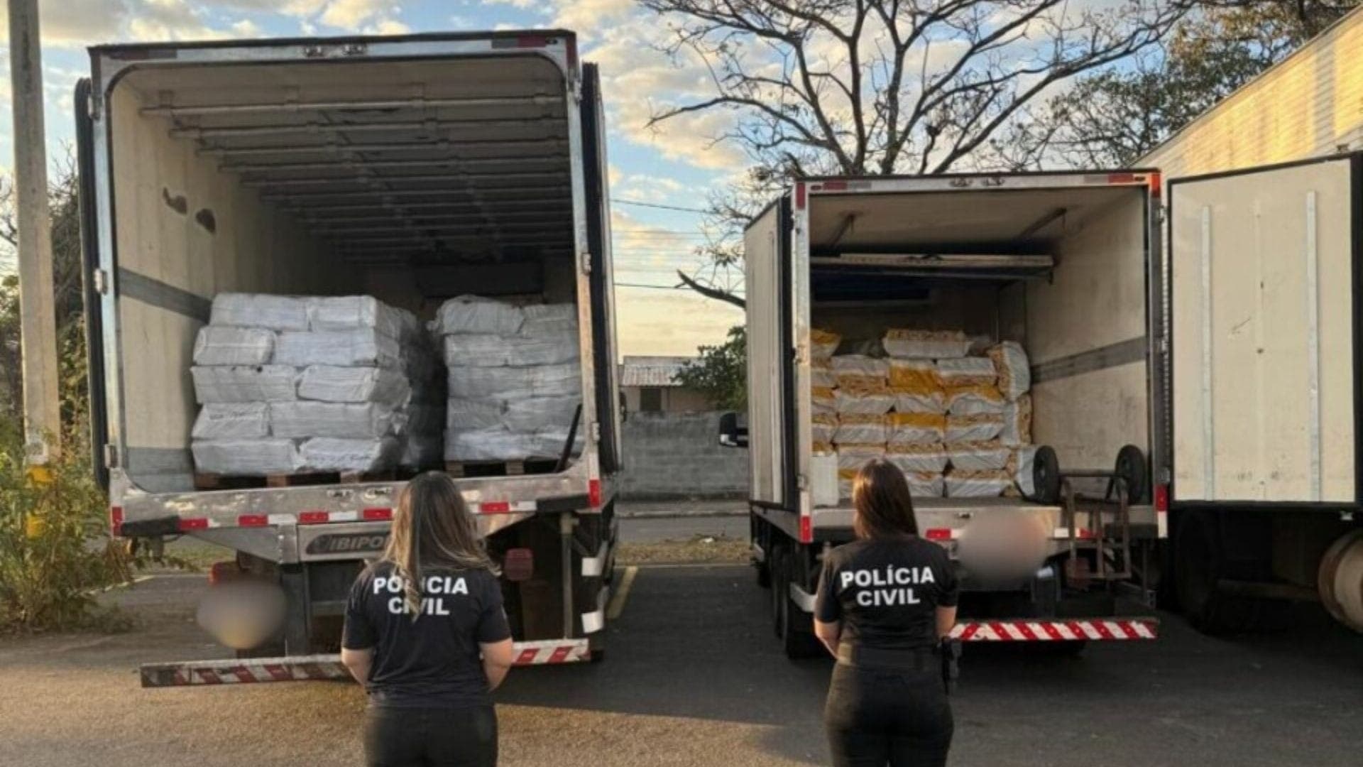 Polícia apreendeu carga de açaí em Goiás