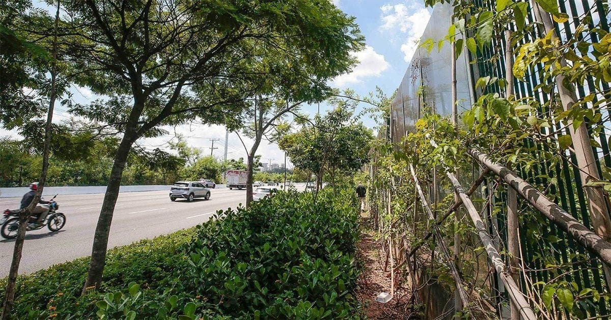 Muro foi abandonado após a gestão Doria