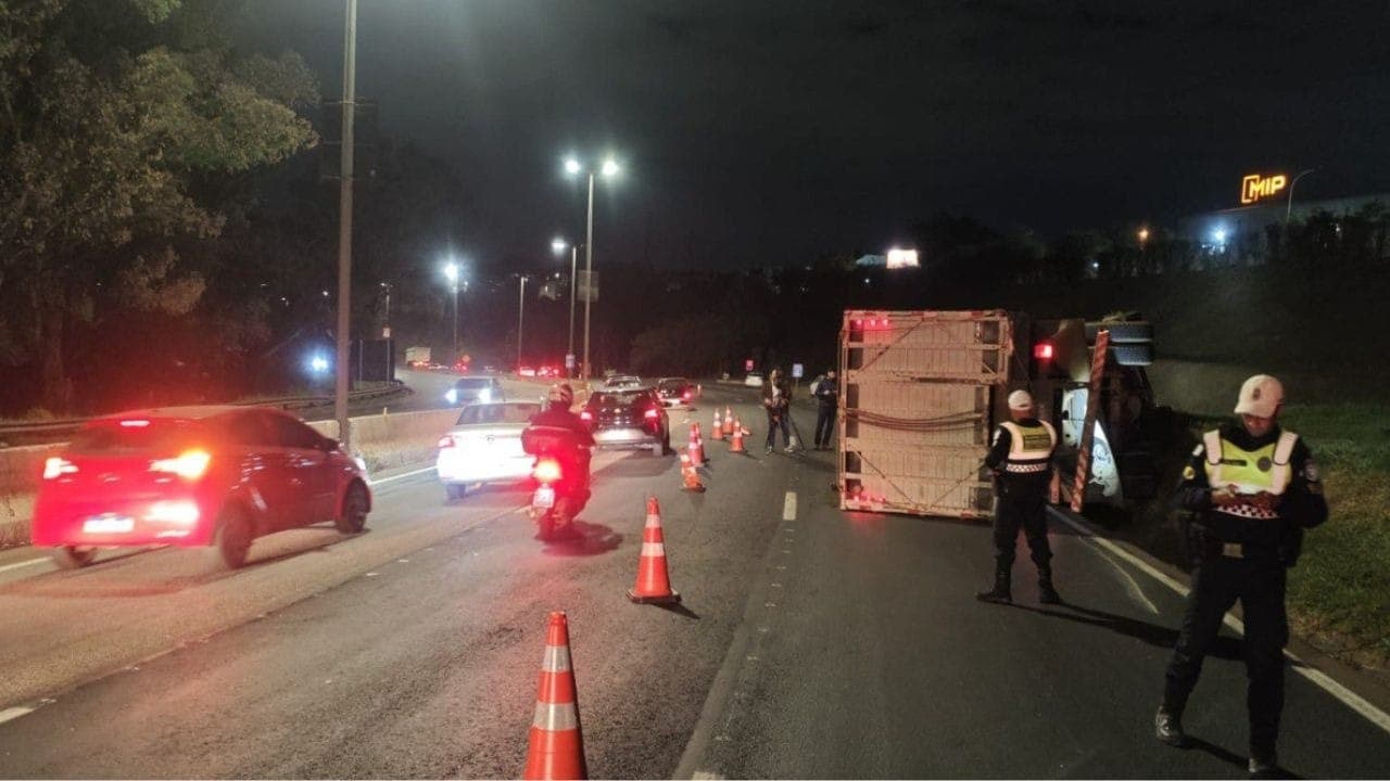 Caminhão com bois e vacas tomba no Anel Rodoviário em BH; animais são resgatados com vida