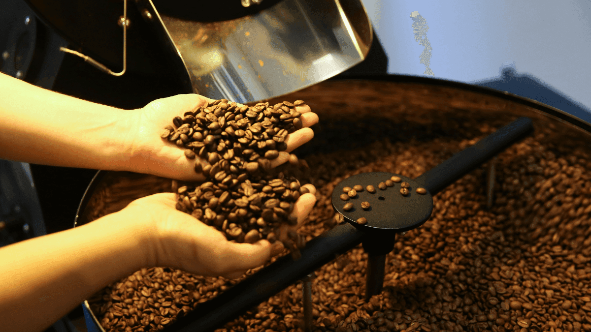Grãos de café