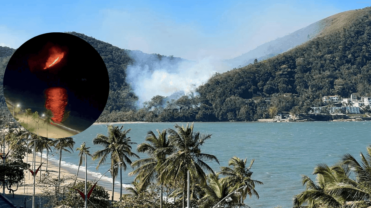 Corpo de Bombeiros segue atuando em incêndio no morro da Martin de Sá em Caraguatatuba