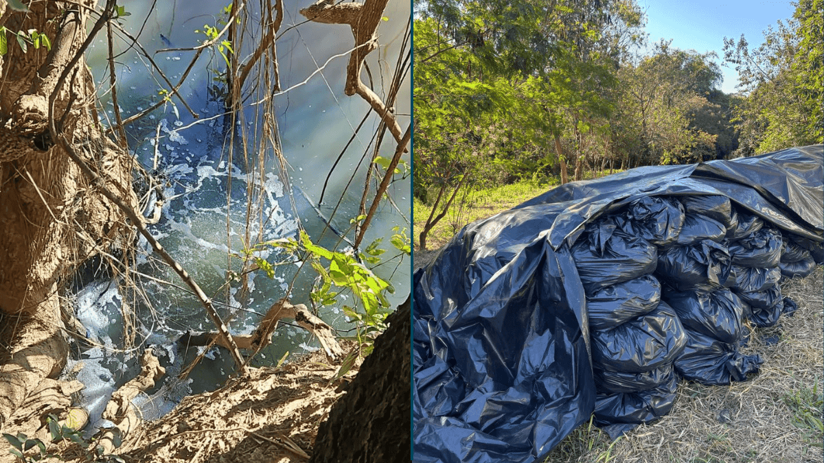 Foram solicitados o apoio da Defesa Civil e da fiscalização ambiental da Prefeitura, que autuaram o estabelecimento