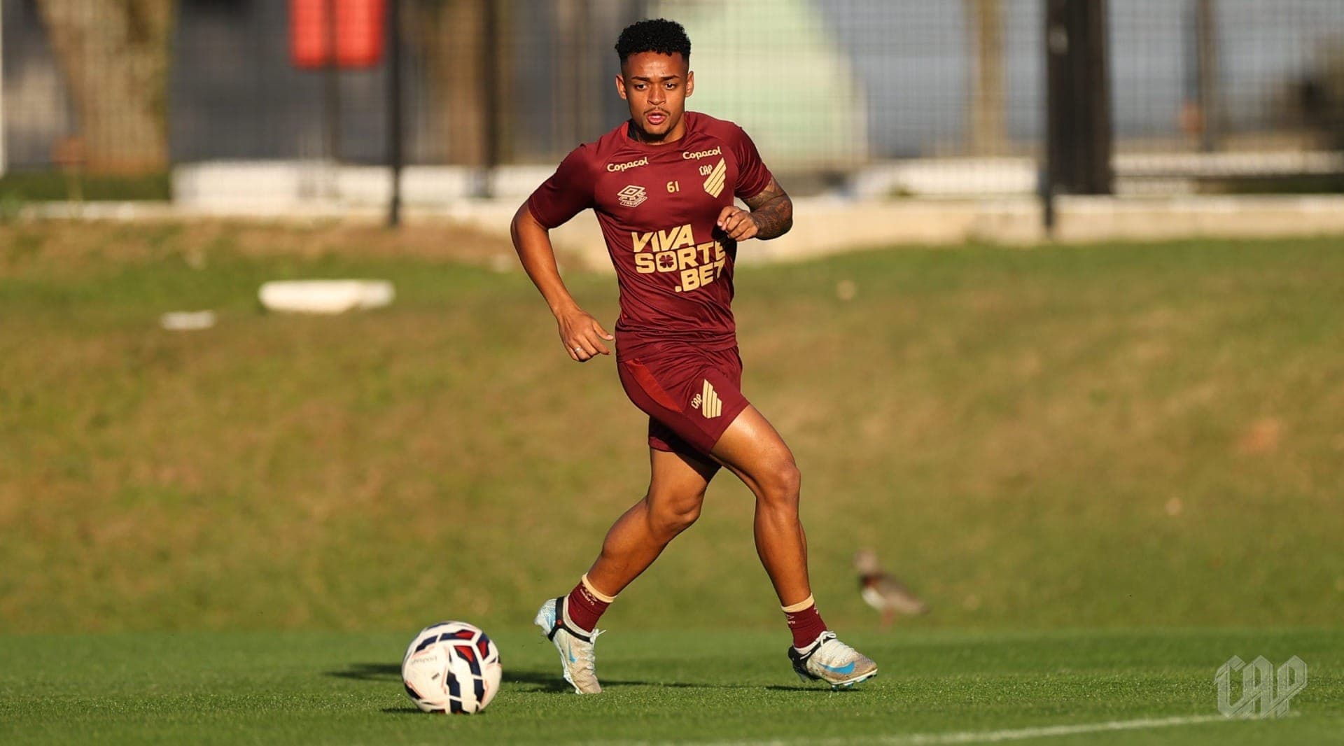Furacão vai em busca de returno quase perfeito na Série B
