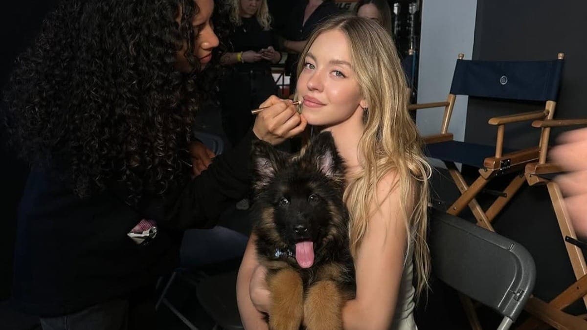 Sydney Sweeney: entenda se atriz estará em "O Diabo Veste Prada 2"