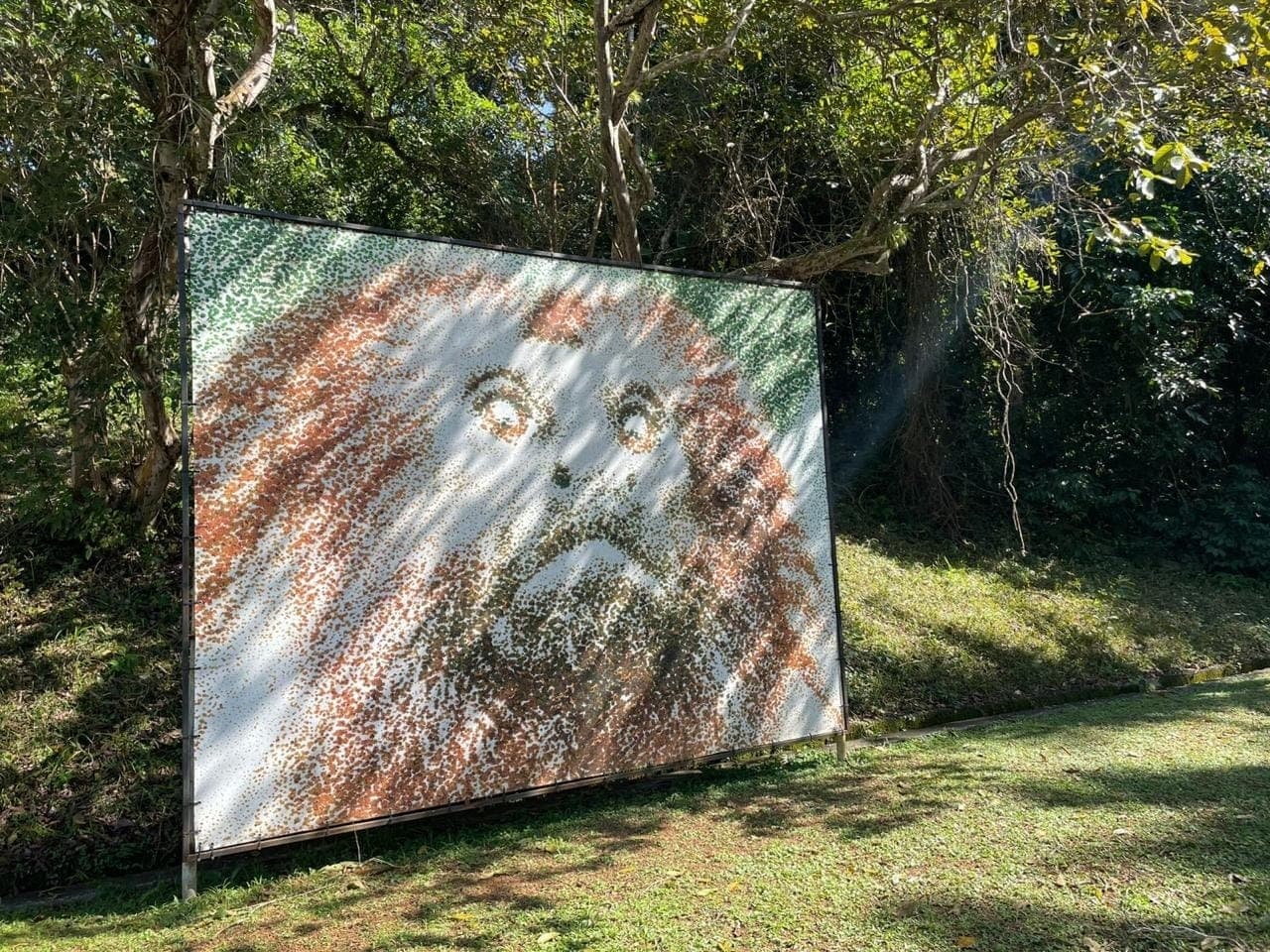 A iniciativa foi realizada na última sexta-feira (8), em Silva Jardim.