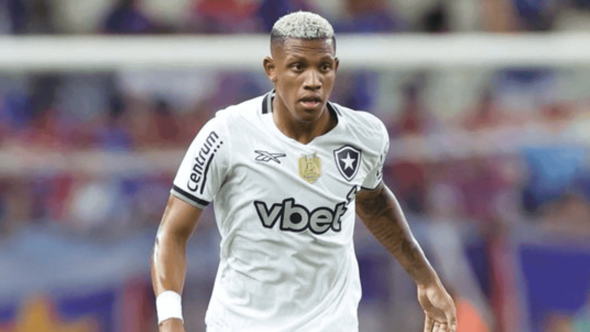 Botafogo busca retomada no Campeonato Brasileiro