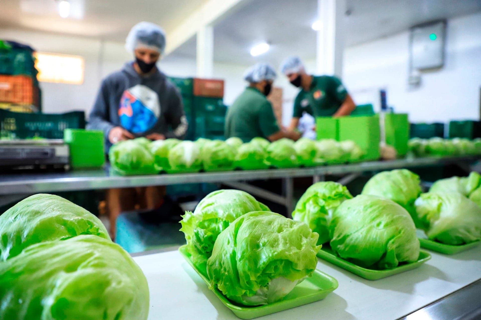 Paraná amplia vantagem como maior produtor de orgânicos do País