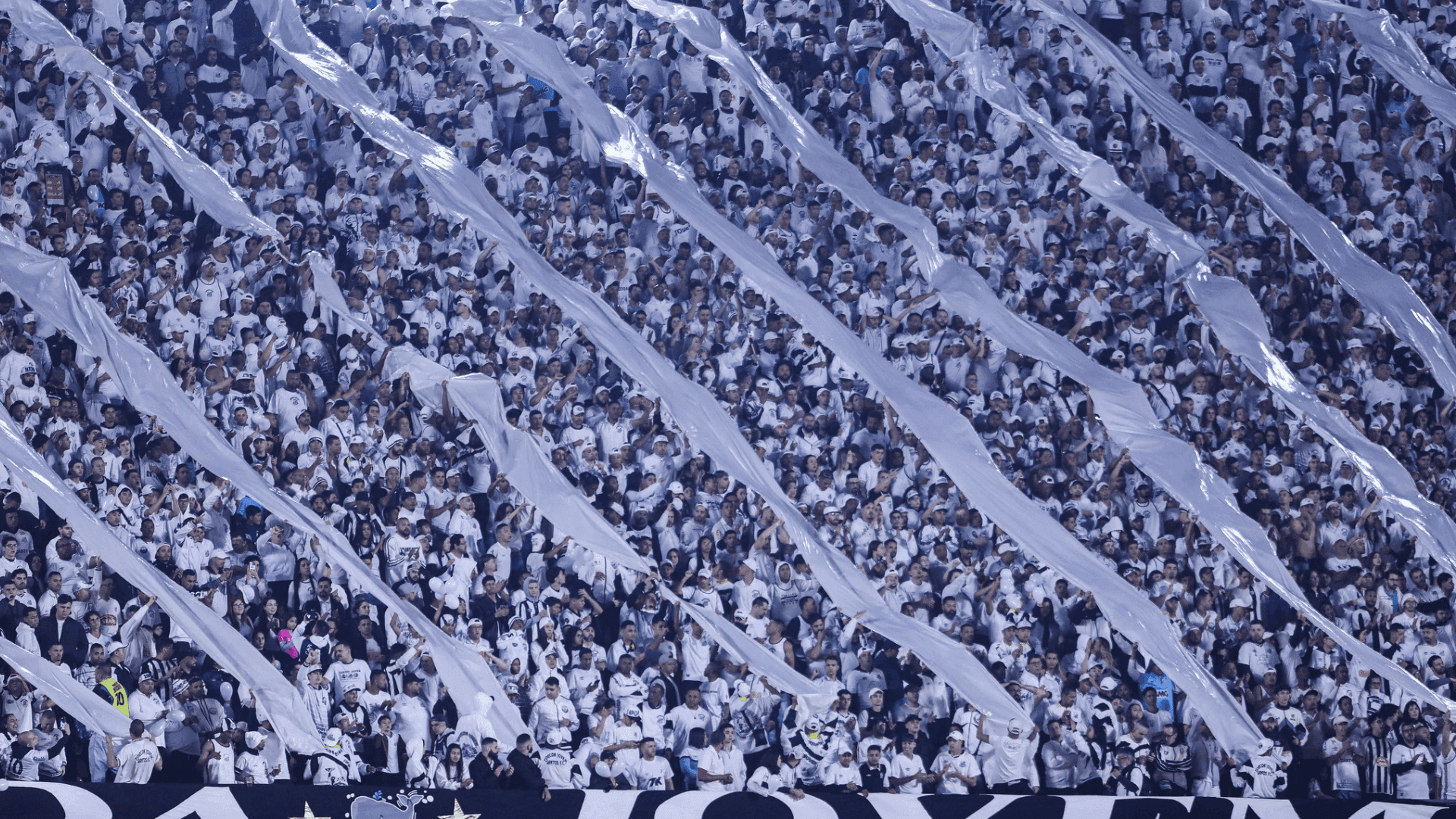 Santos volta a mandar jogo no Morumbi neste domingo (17), às 16h, contra o Vasco, pela 20ª rodada do Brasileirão