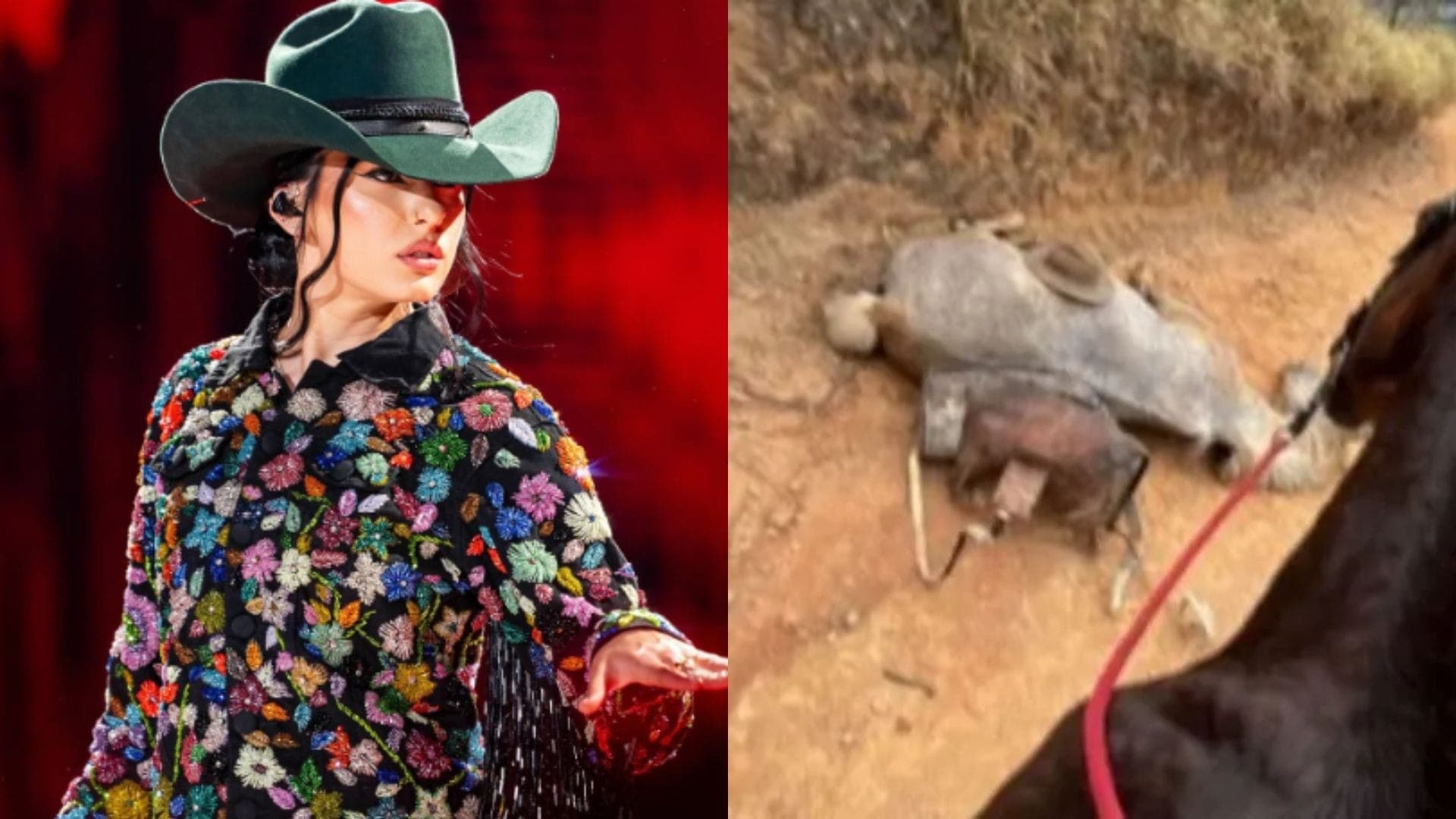 Ana Castela se revoltou com maus-tratos ao cavalo