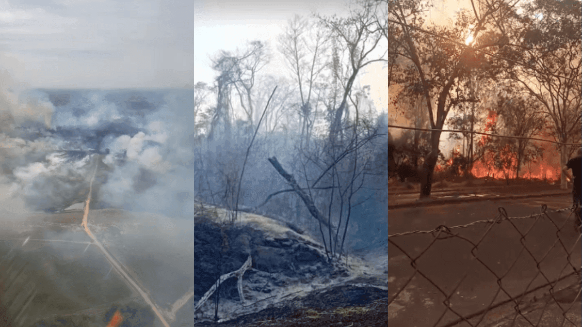 Incêndios atingiram seis cidades da região nesse final de semana
