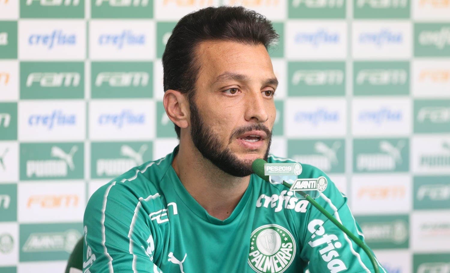 Edu Dracena parabeniza Palmeiras pelos 111 anos