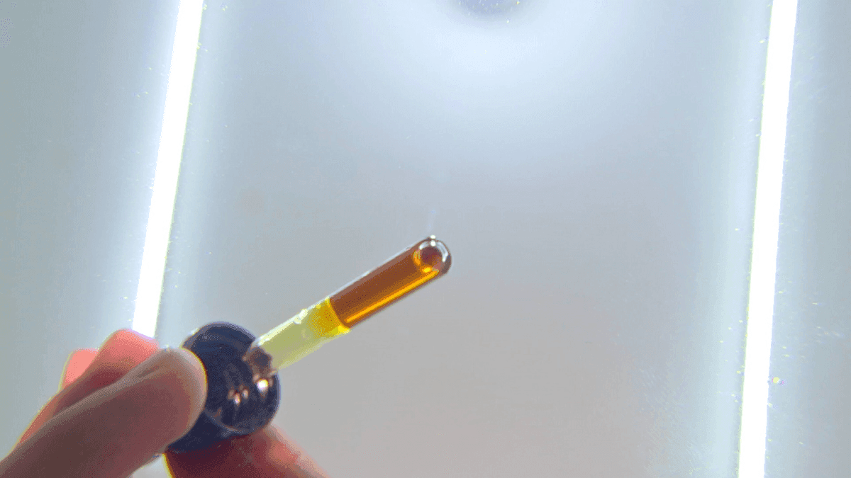 São Paulo amplia uso de cannabis medicinal no SUS para 31 doenças