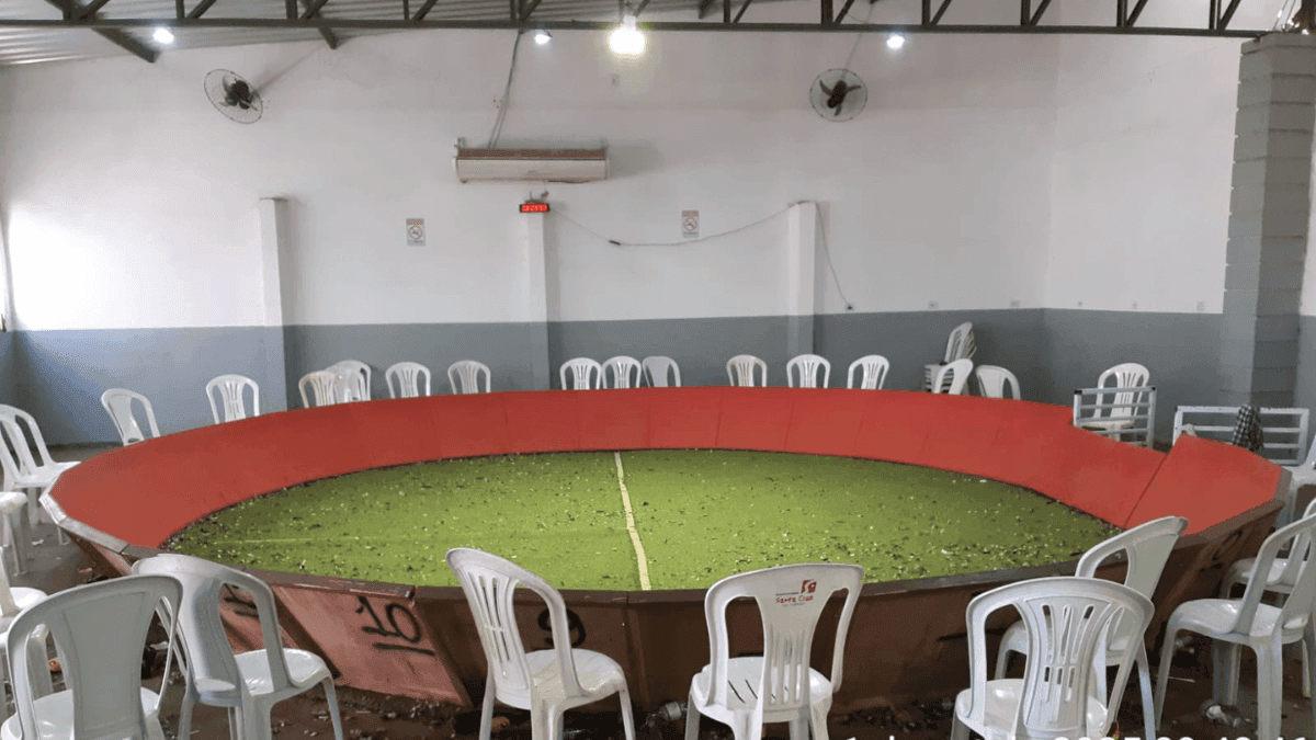 No local havia quatro estruturas de "arenas" para o combate entre os animais
