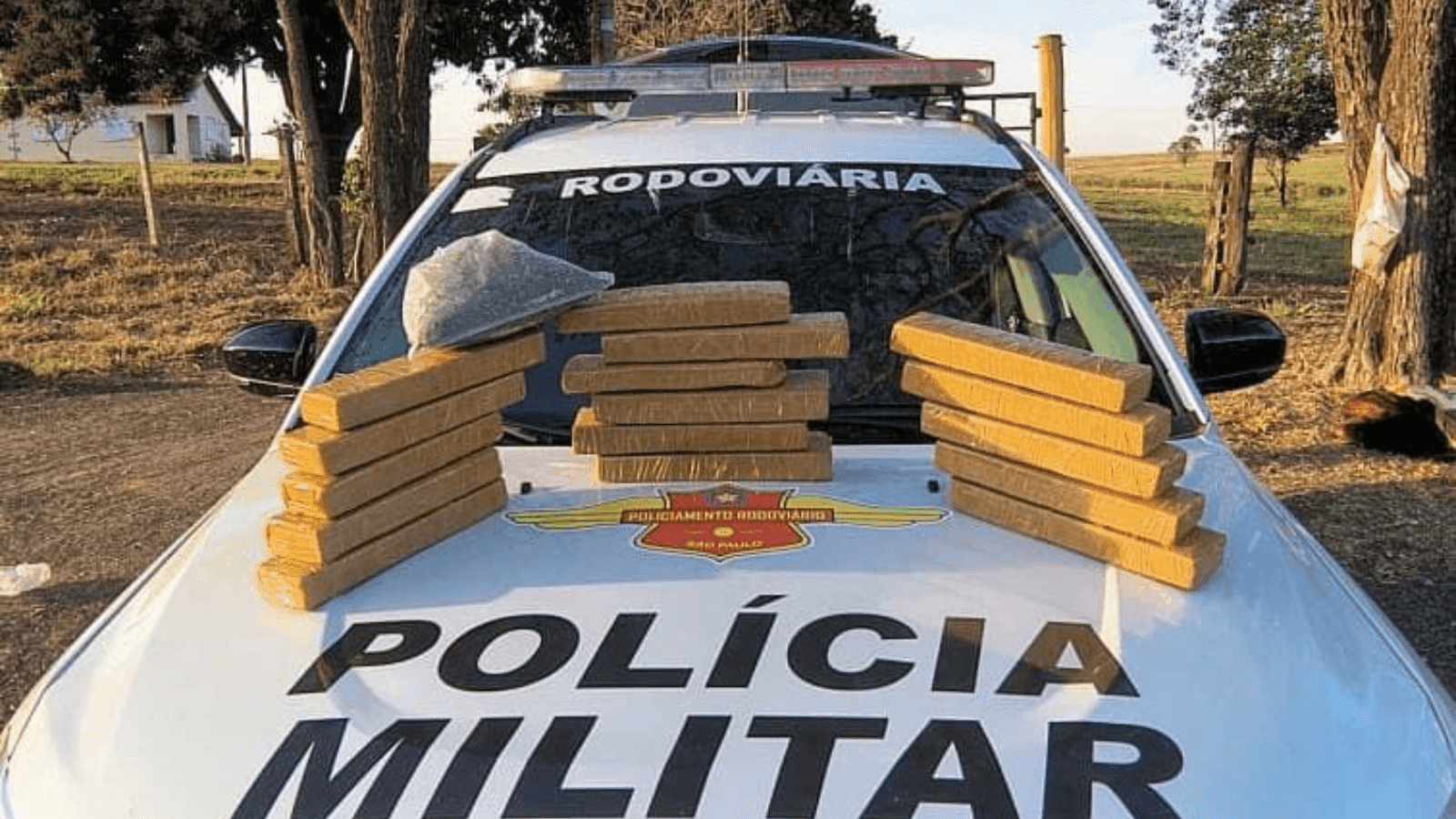 Foram apreendidos 16 tabletes de maconha e um de skank
