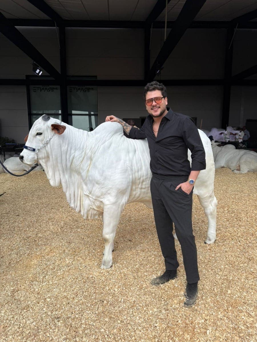 Cantor sertanejo Fabrício compra vaca de R$ 1,2 milhão