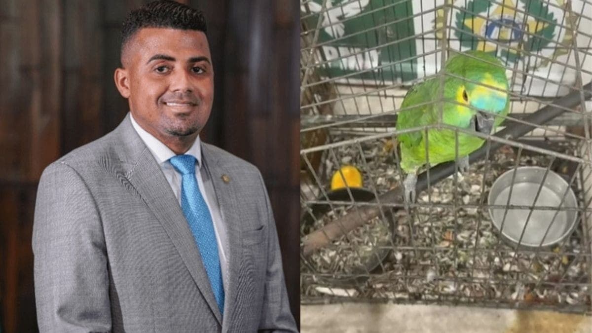 Ex-deputado TH Joias é alvo de operação contra tráfico de animais silvestres no RJ