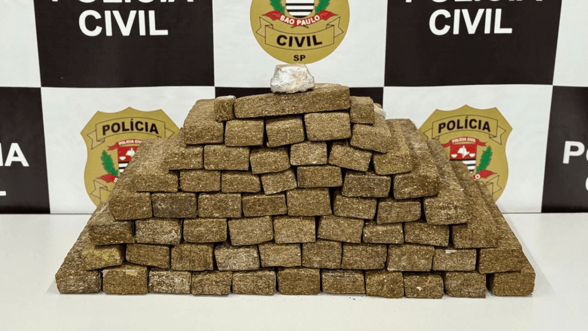 Foram apreendidos 60 tijolos de maconha pesando um quilo cada