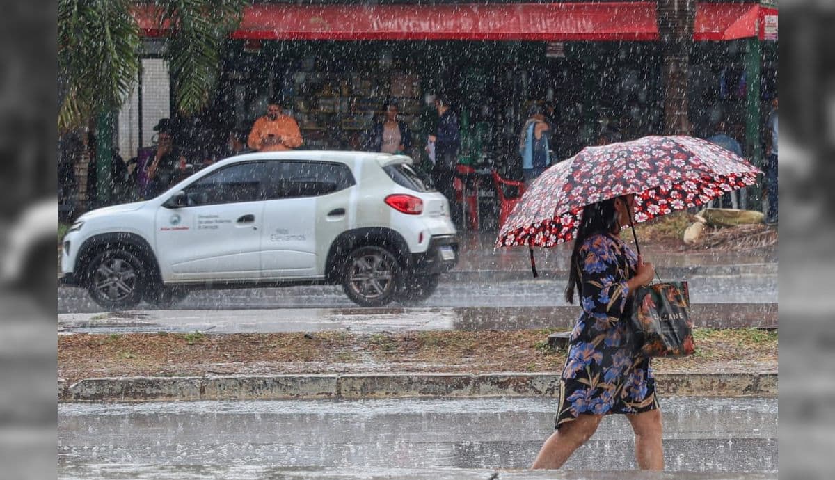 Alerta de ventos fortes em SP: rajadas podem superar 80 km/h