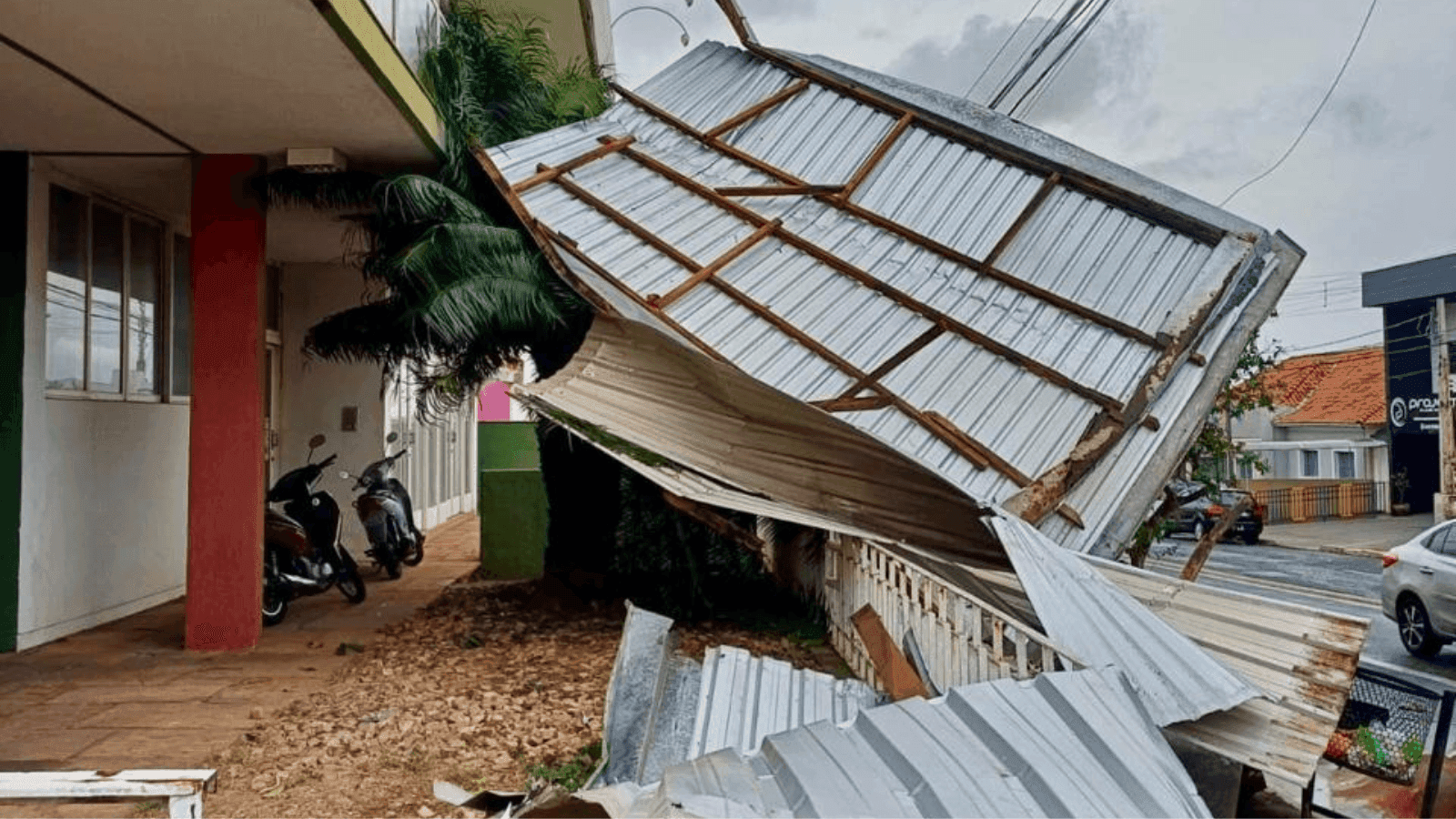 Árvores caíram em alguns pontos da cidade além de toldos e totens