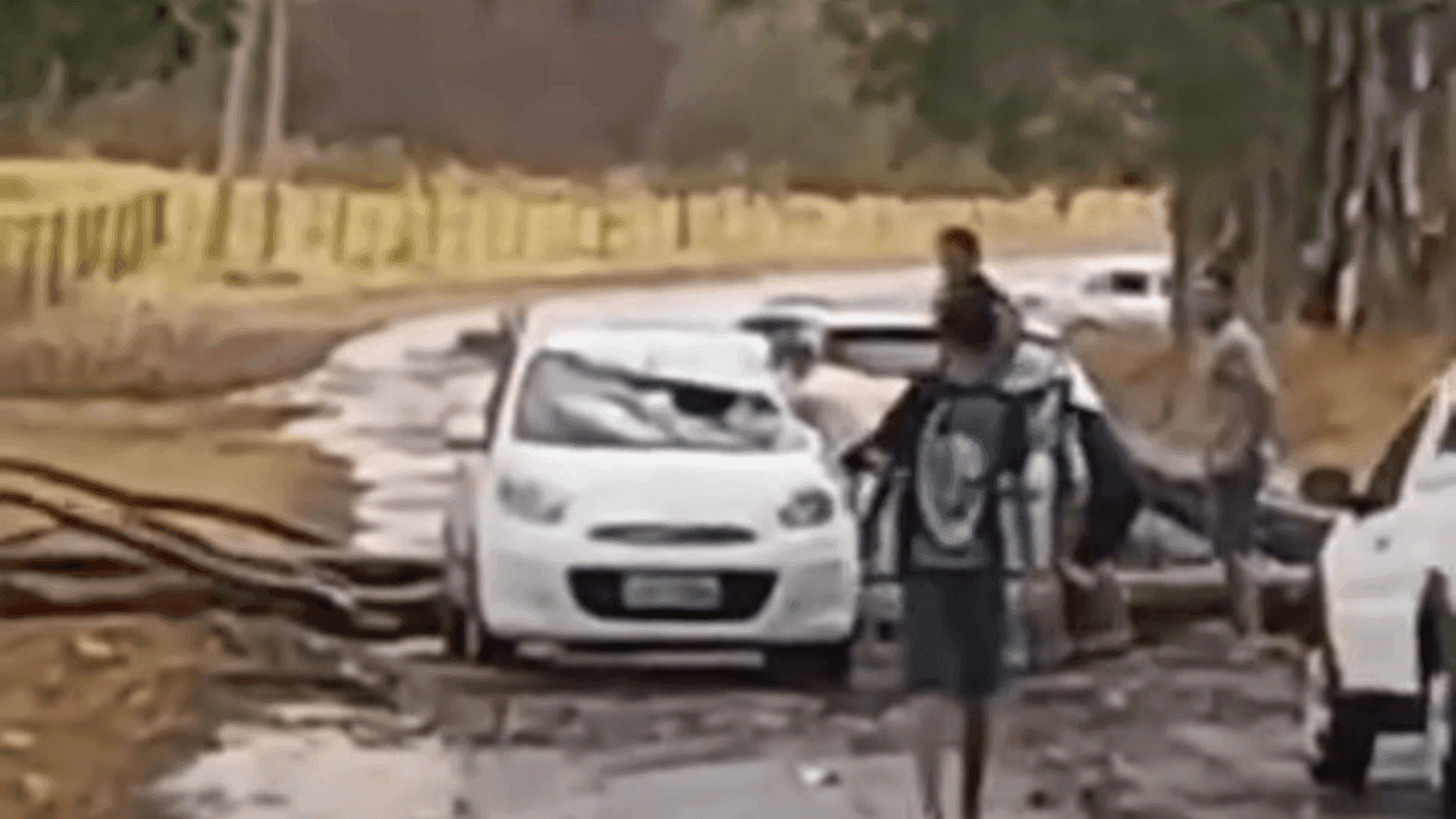 Um eucalipto caiu sobre um carro e matou uma pessoa em Dracena