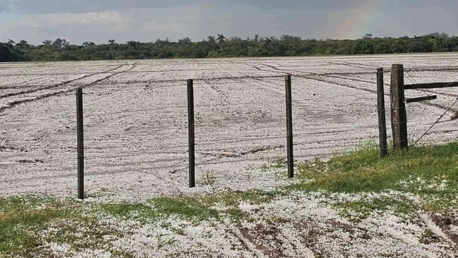 Granizo cobre pasto em Arroio Grande (RS) em plena Primavera