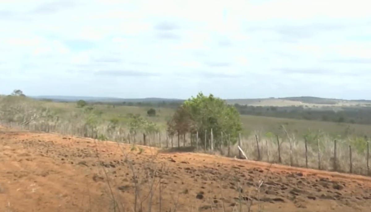 Centro-norte da Bahia enfrenta pior seca em 40 anos