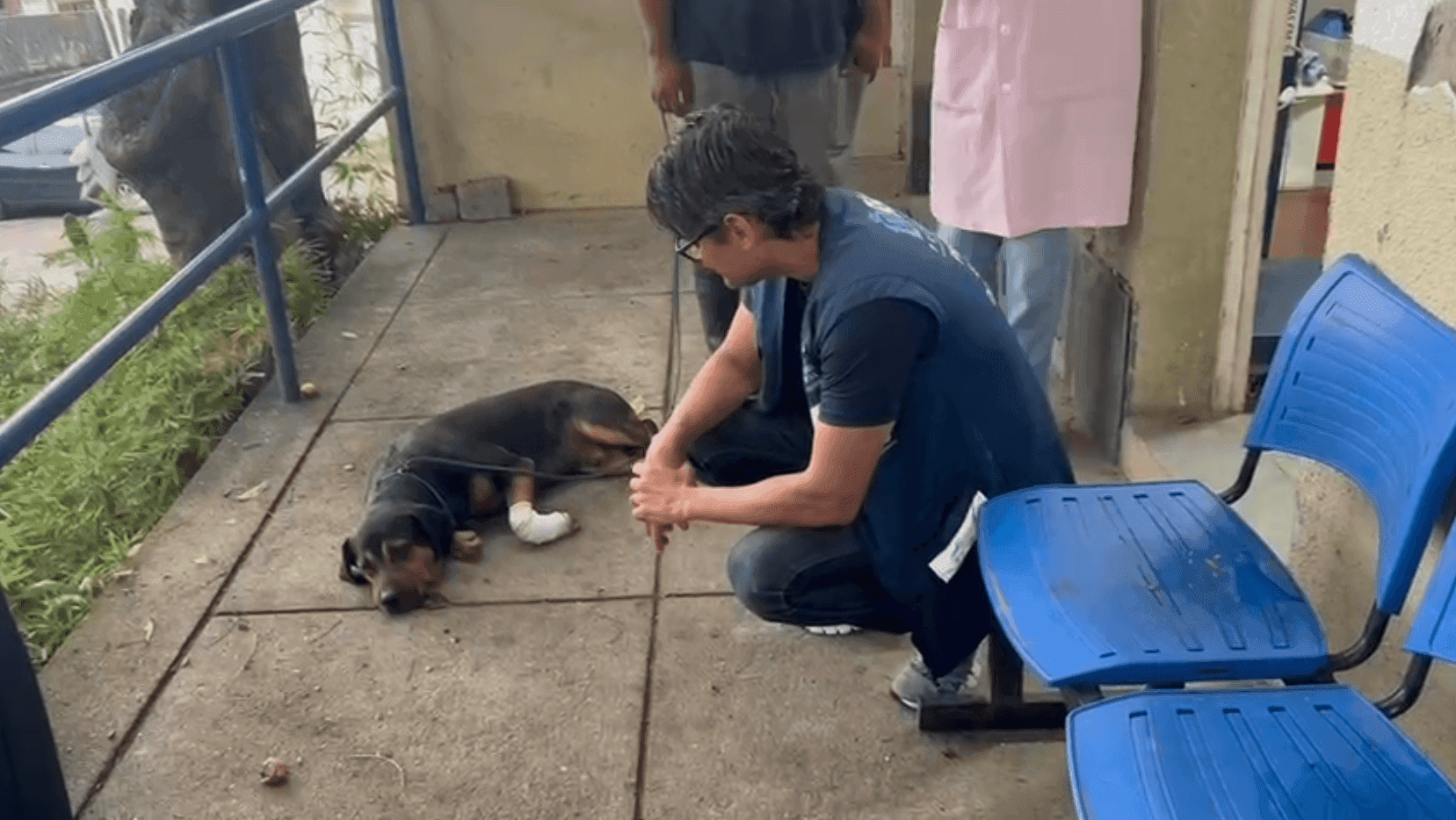 Ele quebrou a pata dianteira esquerda e perdeu um dedo.