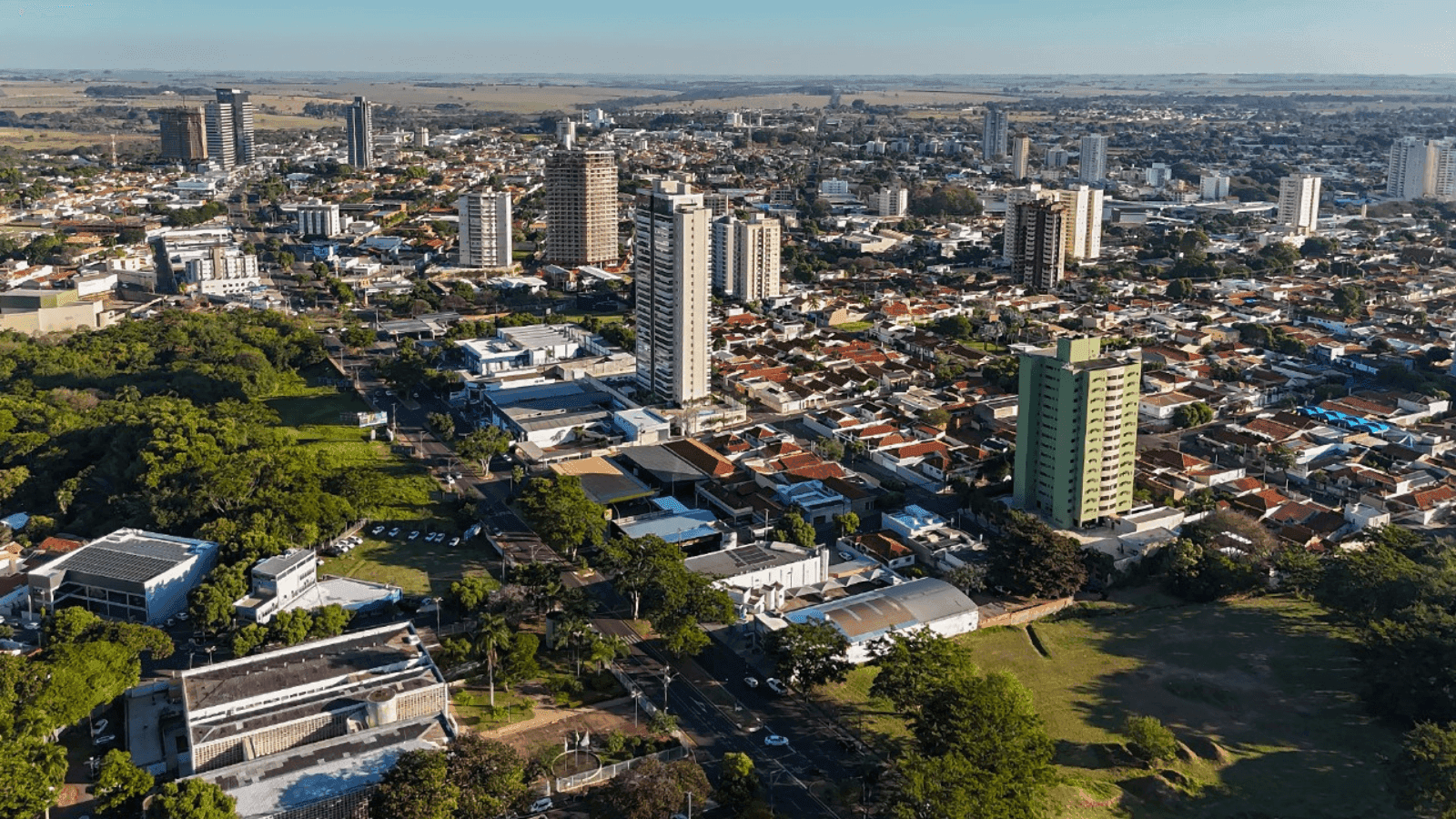 O setor de serviços concentra a maior parte das vagas