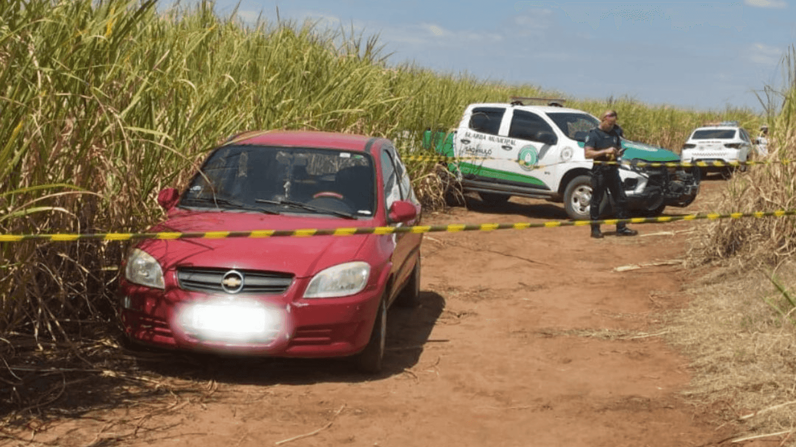 O veículo foi localizado no interior da plantação de cana-de-açúcar