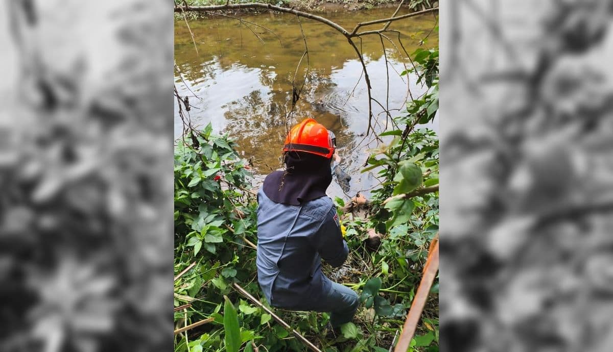 Corpo de homem é encontrado no Rio Tavares, no Estufa Um, em Ubatuba