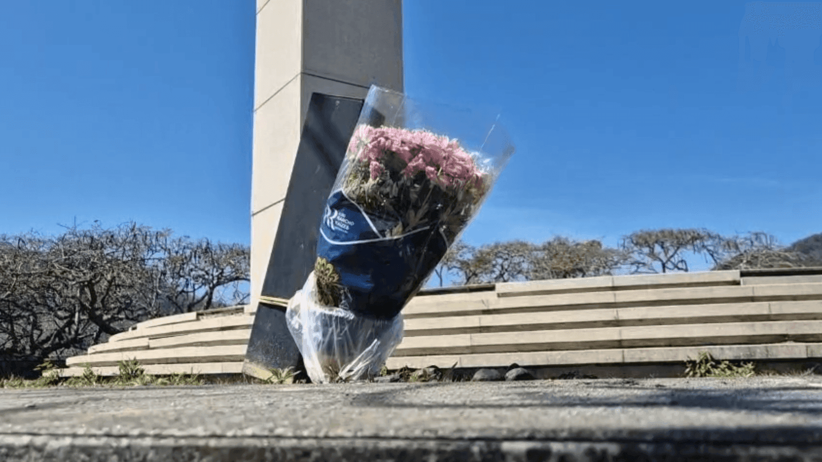 A reportagem tentou contato com a Associação Cultural Memorial do Holocausto, mas não teve resposta.