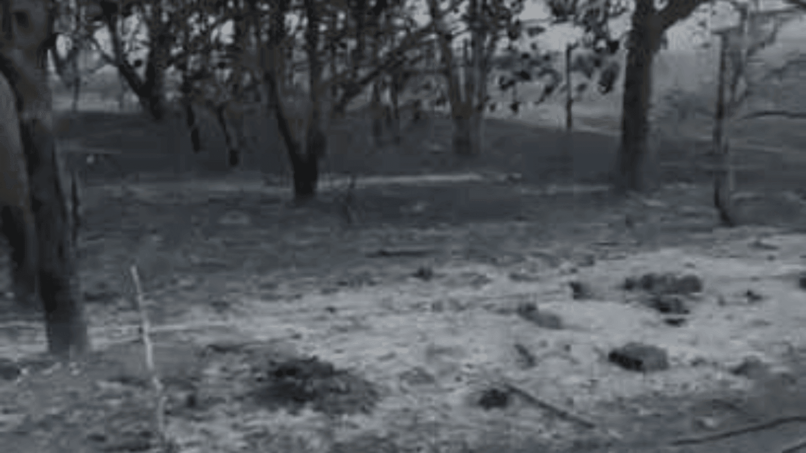 É a terceira morte em decorrência de queimadas no interior paulista