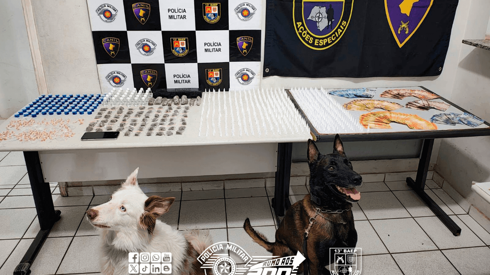 A ação contou com a participação de cães farejadores