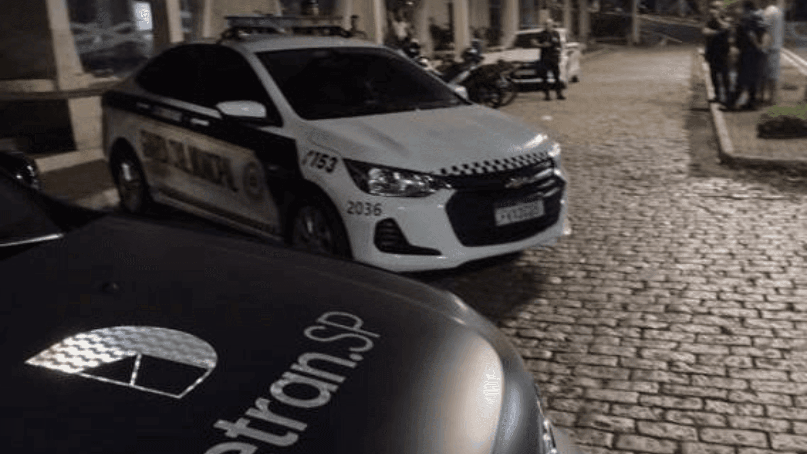 A ação foi realizada pela GCM no final de semana