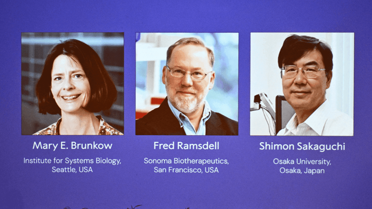 Mary E. Brunkow, Fred Ramsdell e Shimon Sakaguchi ganham o Nobel de Medicina