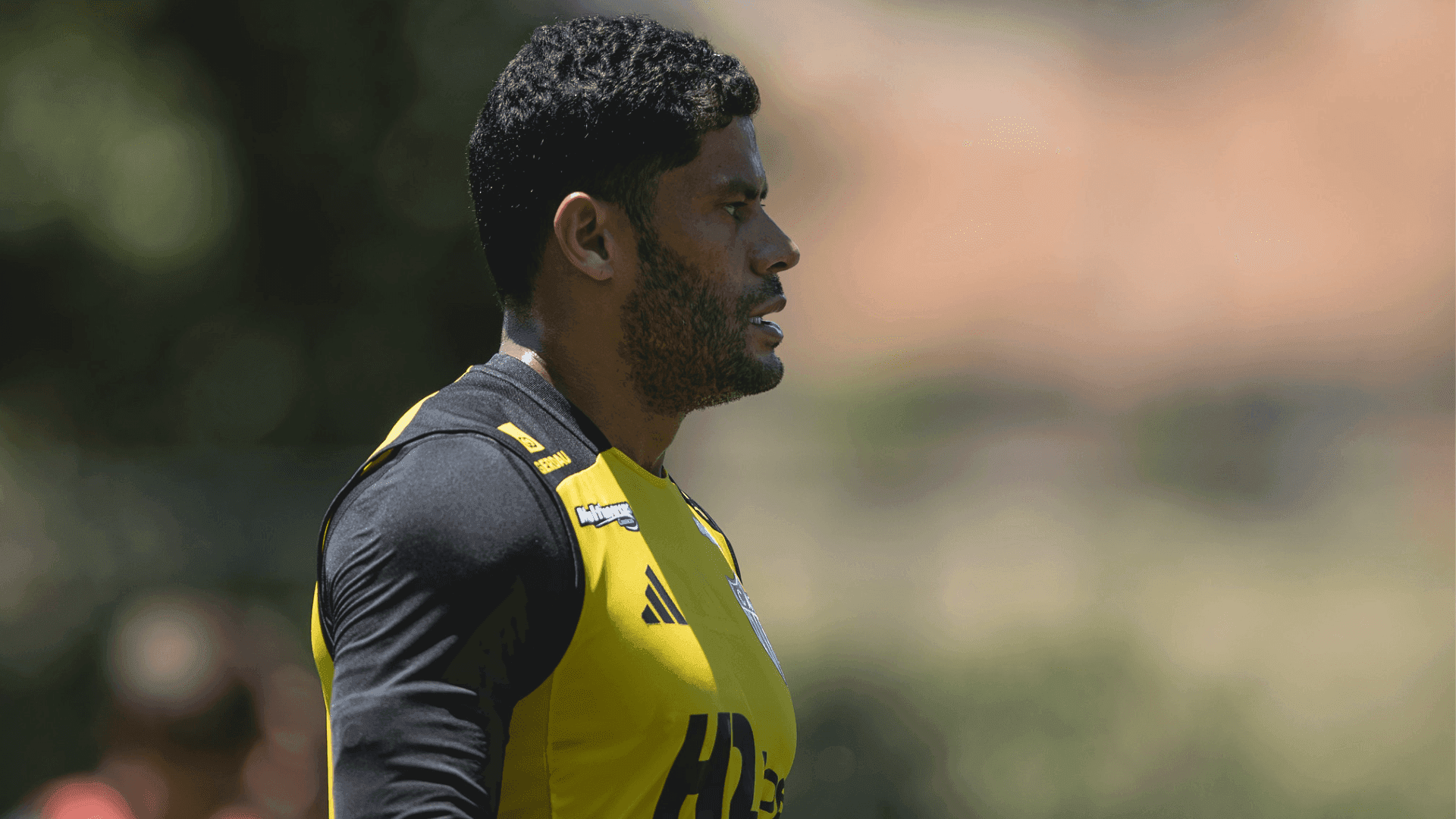 Atlético e Sport disputam nesta quarta-feira (8) jogo atrasado da 14ª rodada do Brasileirão